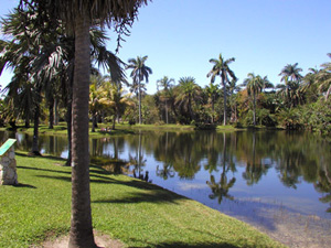 Lake