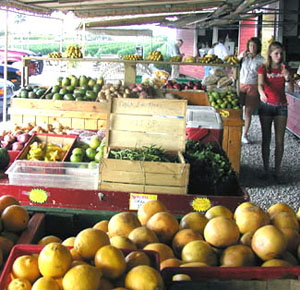 Fresh Citru Fruits