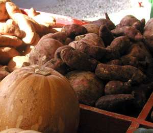 Calabaza