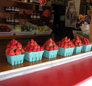 Strawberries for sale